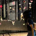 Ashley Hon - @ashley_hon0423 - Instagram