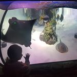 Ashley Howarth - @ashhowarth1358 - Instagram
