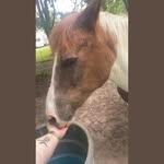 Ashley Hulbert - @ashleyhulbert19 - Instagram
