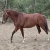 ashleyhuse325 - @ashleyhuse325 - TikTok