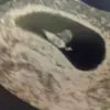 ashley huth - @ashley.huth - TikTok