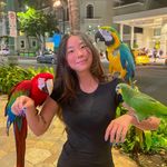 Ashley🐞 - @ashleyhwangg - Instagram