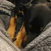 Ashley - @idek._.ashley - TikTok