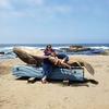 Ashley Irons - @ashleyirons40 - TikTok