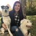 Ashley Parker, ABCDT, Cpdt-Ka - Facebook