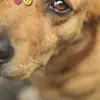 ashley.ka7 - @ashley.ka7 - TikTok