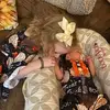 Kim Ashley Klepper - @kimashleyklepper - TikTok