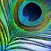Ashley Koe - Facebook