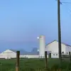 Ashley Kohler - @wild_aces_farm - TikTok
