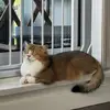 ashleylaw - @ashleylaw - TikTok