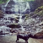 Ashley Lawless - @alawless875 - Instagram