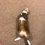 Ashley Leger - @leger1702 - Instagram