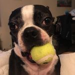 ashley lemons - @busy_izzys_designs - Instagram
