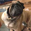 lieberashley97 - @ashleylieber_spam - TikTok