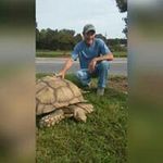 Ashley Liles - @ashleyliles1959 - Instagram