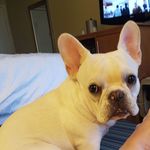 Louie King - @ashley.loftis2012 - Instagram