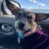 ashley lujan - @ashleylujan8 - TikTok