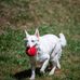 Ashley Lynam - Facebook