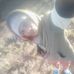 Ashley Moolman - Facebook