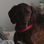 Ashley Mast - @aamast73 - Instagram