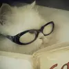 ⋆✴︎˚｡⋆ ashley - @ashley.matt - TikTok