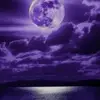 Ashley_todzi - @ashley_mat - TikTok