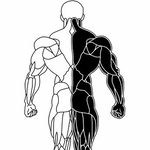 Ashley Mathias | Dumfries/Edinburgh Sports Therapist - @ajm_smt - Instagram