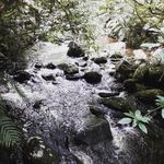 ashley mathieson - @mathieson.ashley - Instagram