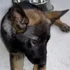 ashleymatters7 - @ash32318 - TikTok