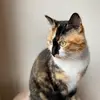 Ashley Mauer - @maggertont - TikTok