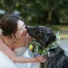 Ashley Mauldin (she/her) - @ashley.mauldin - TikTok