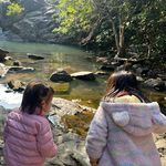 @mavis_yeung_ashley - Instagram
