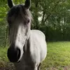ashley - @ashley.maxi - TikTok