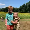 Ashley Lukens McAuli - @ashleylukensmcauliffe - TikTok