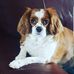 Ashleigh Mcbain - Facebook
