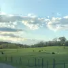 Ashley McCoole - @ashleymccoole68 - TikTok