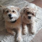 Ashley McEachern - @chem.freeclean - Instagram