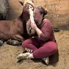 Ashley McManus - @ashleyannequestrian - TikTok