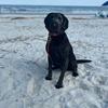 Ryder&TuckerGoodBoys - @ashley__messina - TikTok