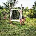 Ashley Minerva Alcántara Canario - @ashleyalcantara988j - Instagram