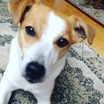 Ashley Moffat - @moffatashley - Instagram
