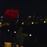 Ashley Mohammed - @ashleymohammed40 - Instagram
