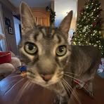 Ashley Morrell - Facebook