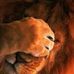 Ashley Mortenson - Facebook