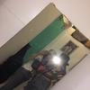 Ashley Mount - @ashley_mount - TikTok