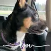 Ashley - @ashleymullenix5 - TikTok
