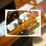 Ashley Musielak - Facebook