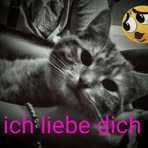 Ashley Musielak - Facebook