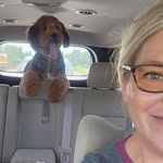 Ashley Ellis Ochs - @ashleyochs - Instagram