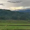 Ashleyolive - @ashleyolive6 - TikTok